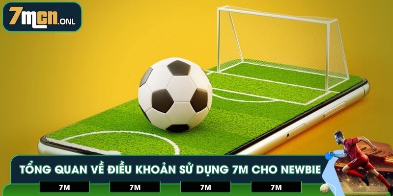 Tổng quan về điều khoản sử dụng 7M cho newbie