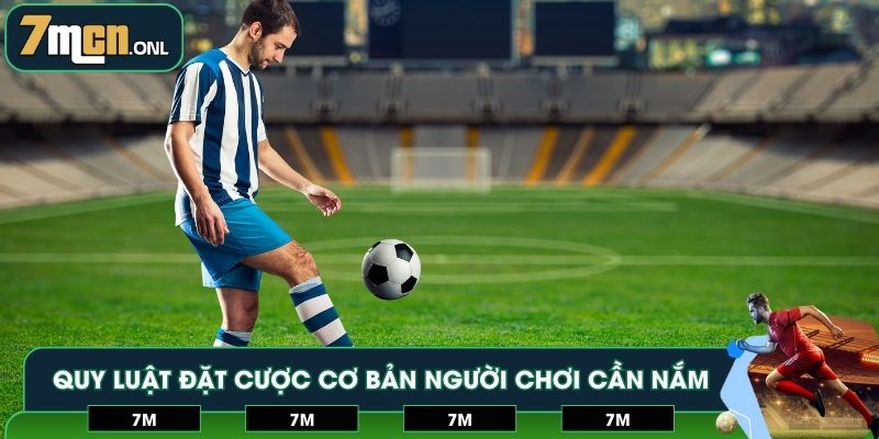 Quy luật đặt cược cơ bản người chơi cần nắm